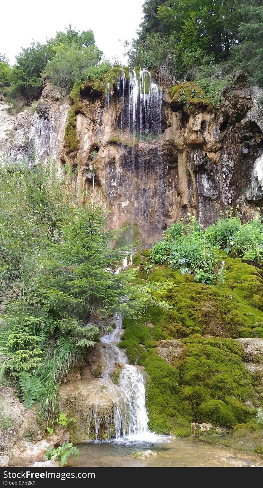 A part of a waterfall located in Romania, Alba county, named Pisoaia. There is a lot of vegetation around it, such as trees, located on the cliff and at the bottom left of the waterfall. Moss can be seen on the bottom right side of the image. It has a total length of about 18 meters. The chalk formations give it a spectacular look. A part of a waterfall located in Romania, Alba county, named Pisoaia. There is a lot of vegetation around it, such as trees, located on the cliff and at the bottom left of the waterfall. Moss can be seen on the bottom right side of the image. It has a total length of about 18 meters. The chalk formations give it a spectacular look.