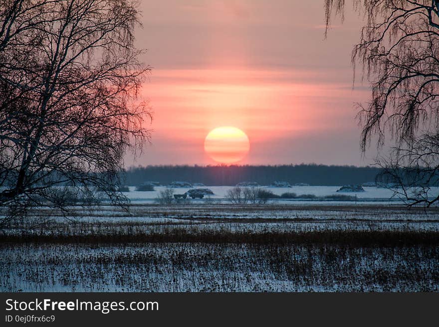 Winter sunset