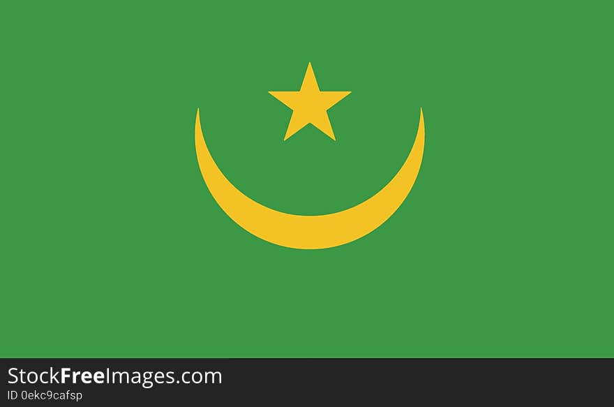 Flag of mauritania vector icon illustration