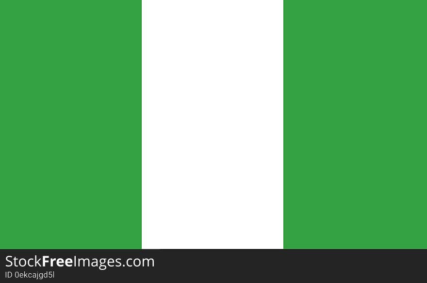 Flag Of Nigeria Vector Icon Illustration