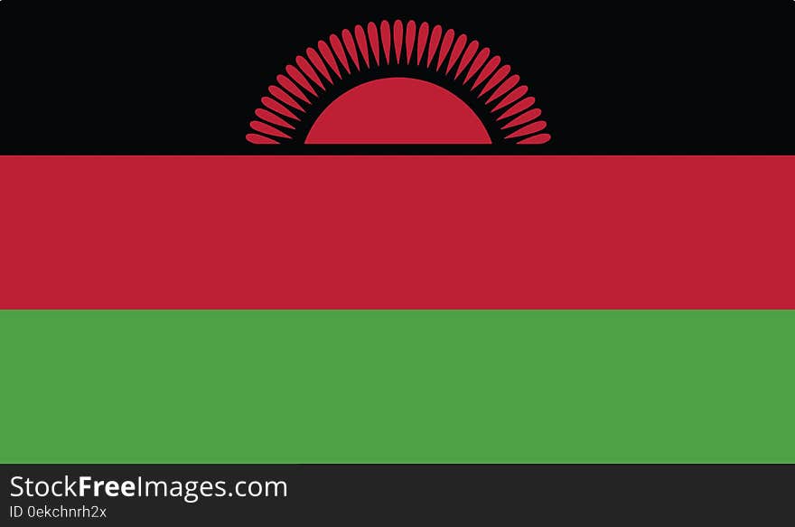 Flag of malawi vector icon illustration