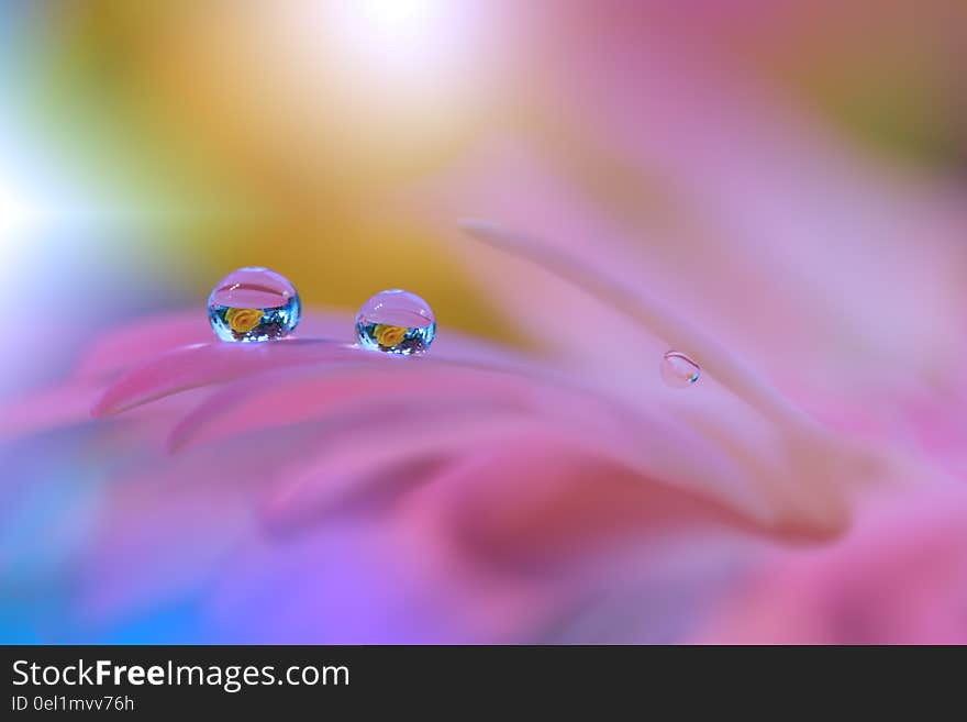 Abstract macro photo with water drops. Artistic Background for desktop.Beautiful Nature. Abstract macro photo with water drops. Artistic Background for desktop.Beautiful Nature.