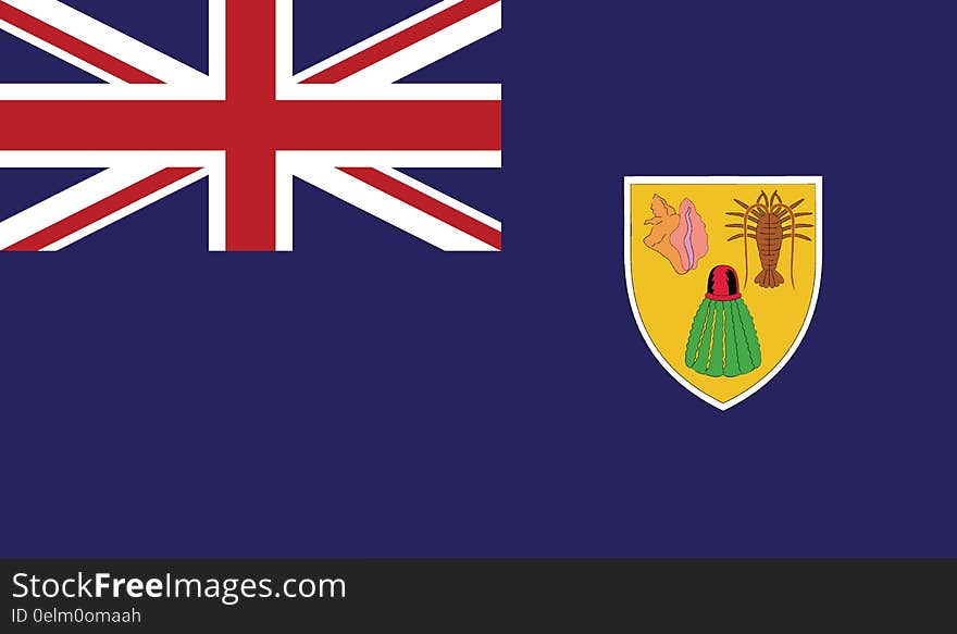 Flag Of Turks And Caicos Islands Vector Icon Illustration