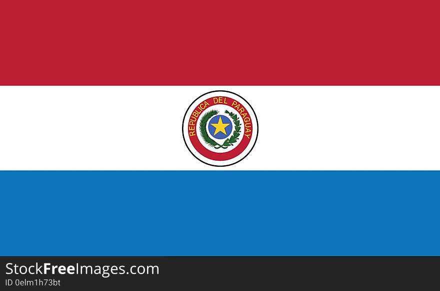 Flag Of Paraguay Vector Icon Illustration