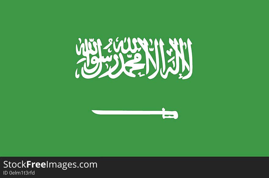 Flag of saudi arabia vector icon illustration