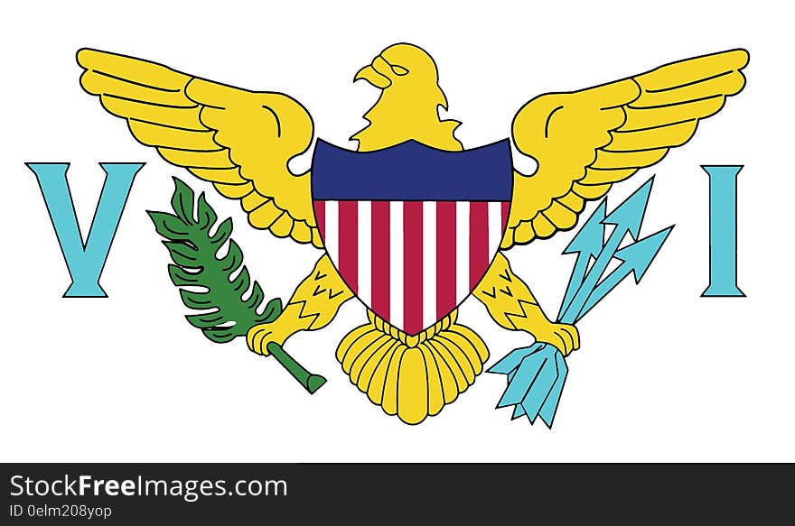 Flag of virgin island us vector icon illustration eps10