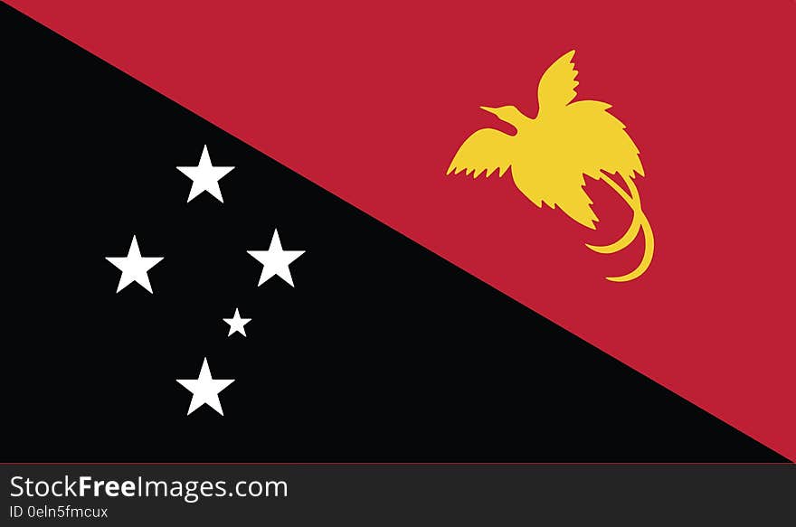 Flag Of Papua New Guinea Vector Icon Illustration