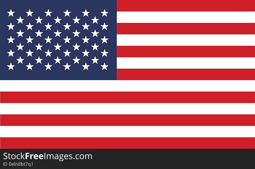 Flag Of United States Vector Icon Illustration