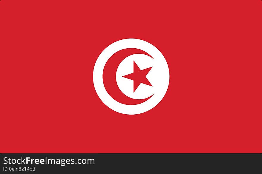 Flag Of Tunisia Vector Icon Illustration