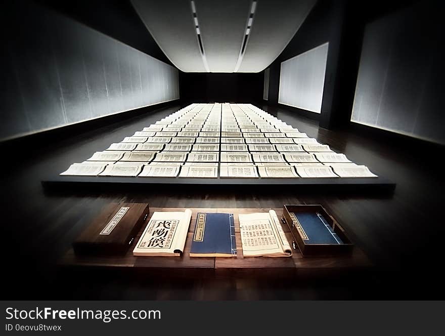 Xu Bing: Book From the Sky. Xu Bing: Book From the Sky