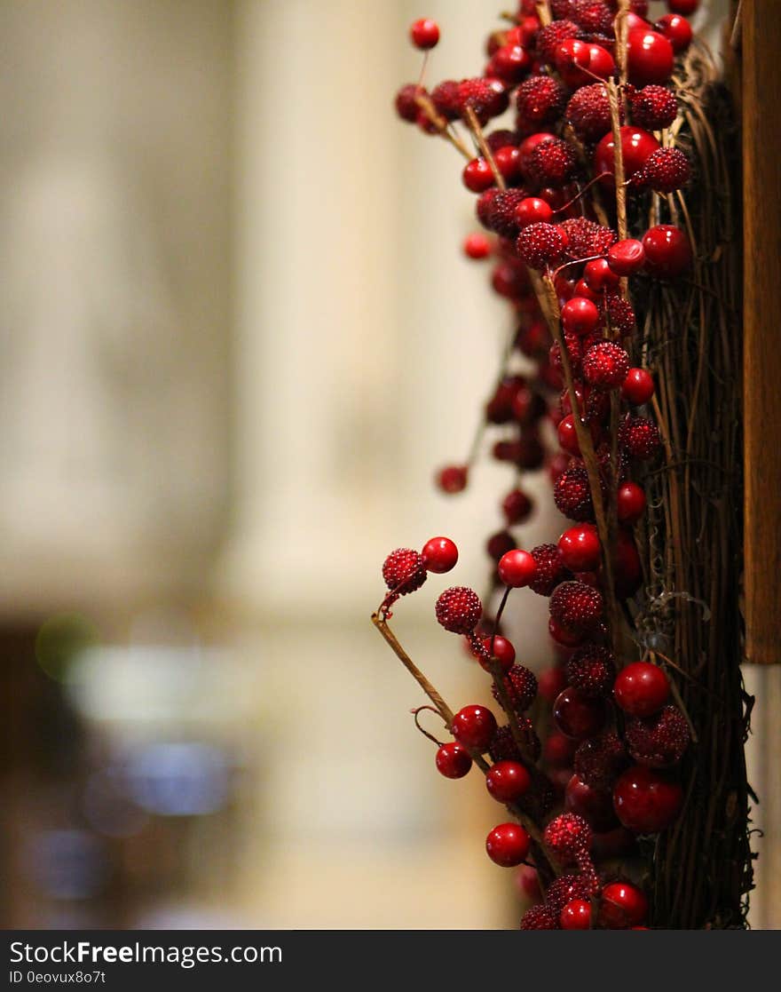 Wreath with berries hanging on end of library stacks. Wreath with berries hanging on end of library stacks