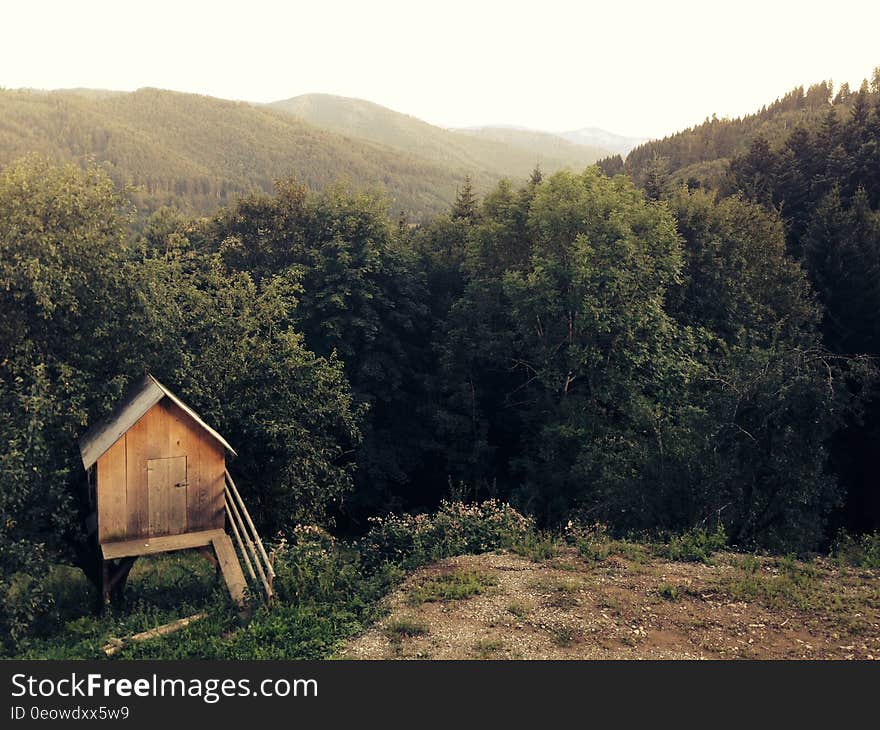 Wooden shack in meadow against trees in forest on sunny day. Wooden shack in meadow against trees in forest on sunny day.