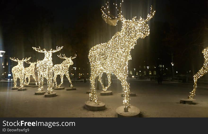 An outdoor light display with elks composed of lights. An outdoor light display with elks composed of lights.