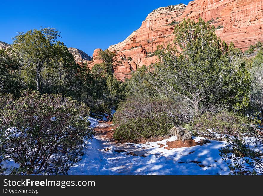 Fay Canyon is a favorite hike for many who prefer a shorter hike with minimal elevation gain or who enjoy the grandeur of red sandstone walls towering overhead. Some people visit Fay Canyon to see the natural arch located just under a half mile up the trail. Those who don&#x27;t know about it usually walk right past. Though the Fay Canyon Arch is by no means small, it looks so much like an ordinary rock overhang, it&#x27;s easy to glance right at it and not realize what you&#x27;ve seen. If you keep watching the rock wall to the north &#x28;right&#x29; side of the trail sooner or later you&#x27;ll spot it. This small, hidden canyon supports a diverse community of desert plants and provides good views of the surrounding cliffs. It dead ends at a red Supai sandstone cliff. Throughout Fay Canyon you can marvel at the breathtaking scenery that surrounds you. Photo by Deborah Lee Soltesz, January 5, 2011. Credit: Coconino National Forest, U.S. Forest Service. Learn more about hiking Fay Canyon Trail No. 53 in the Red Rock Ranger District of the Coconino National Forest.