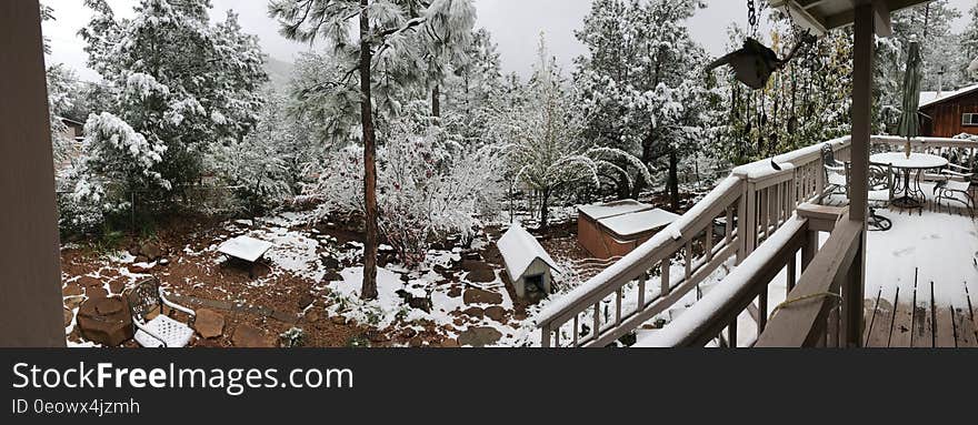 Backyard Pano in First Snow