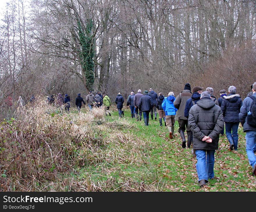 A group of people walking through a meadow and forest. A group of people walking through a meadow and forest.