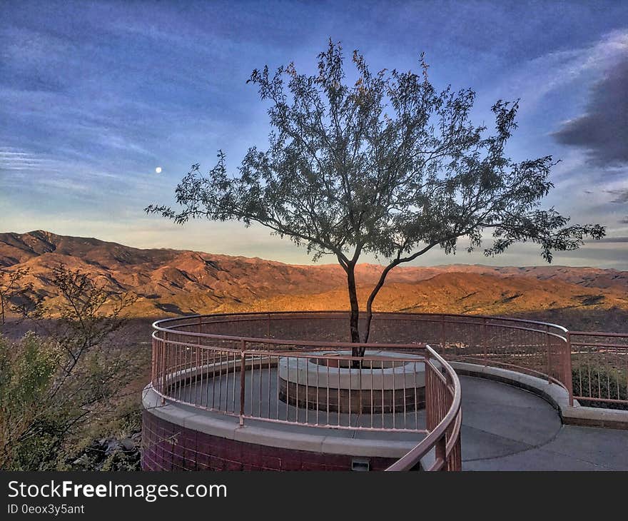 Single leafy tree on a viewpoint overlooking barren terrain with mountains in distance. Single leafy tree on a viewpoint overlooking barren terrain with mountains in distance.