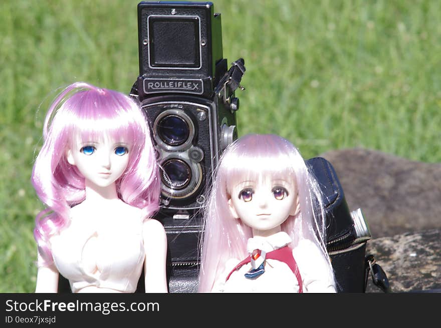 Medium format twin lens reflex camera with viewfinder lid raised and two blond dolls seated on either side of the lenses, green field background. Medium format twin lens reflex camera with viewfinder lid raised and two blond dolls seated on either side of the lenses, green field background.