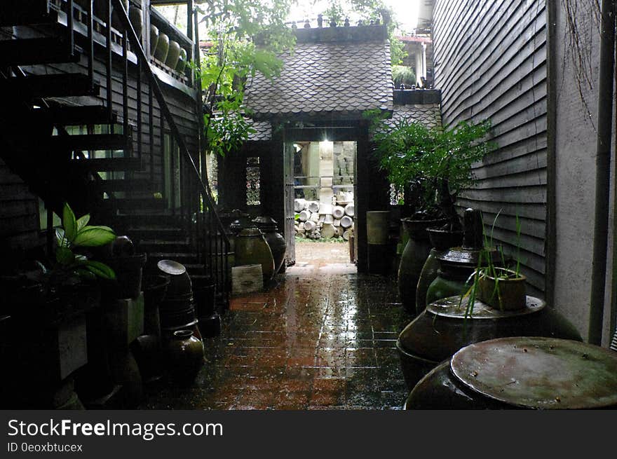 Scenic view of an old backyard with steps on a rainy day. Scenic view of an old backyard with steps on a rainy day.