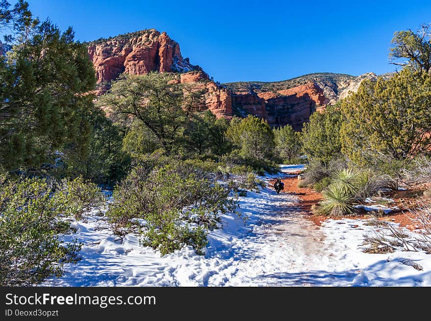 Fay Canyon is a favorite hike for many who prefer a shorter hike with minimal elevation gain or who enjoy the grandeur of red sandstone walls towering overhead. Some people visit Fay Canyon to see the natural arch located just under a half mile up the trail. Those who don&#x27;t know about it usually walk right past. Though the Fay Canyon Arch is by no means small, it looks so much like an ordinary rock overhang, it&#x27;s easy to glance right at it and not realize what you&#x27;ve seen. If you keep watching the rock wall to the north &#x28;right&#x29; side of the trail sooner or later you&#x27;ll spot it. This small, hidden canyon supports a diverse community of desert plants and provides good views of the surrounding cliffs. It dead ends at a red Supai sandstone cliff. Throughout Fay Canyon you can marvel at the breathtaking scenery that surrounds you. Photo by Deborah Lee Soltesz, January 5, 2011. Credit: Coconino National Forest, U.S. Forest Service. Learn more about hiking Fay Canyon Trail No. 53 in the Red Rock Ranger District of the Coconino National Forest.