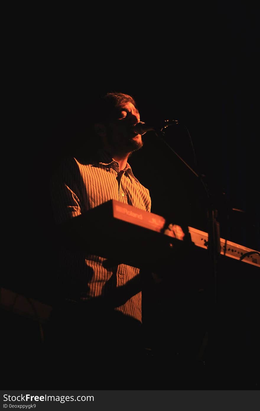 Male musician playing keyboard and singing into microphone onstage during concert. Male musician playing keyboard and singing into microphone onstage during concert.