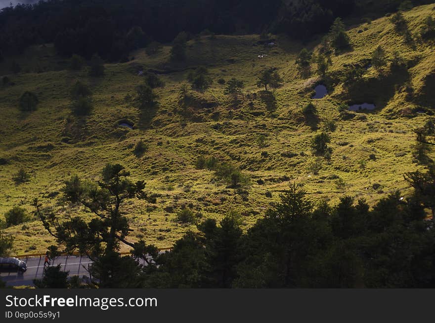 Green sunlit hillside, rough ground covered with plants and small trees and with road running alongside in the valley. Green sunlit hillside, rough ground covered with plants and small trees and with road running alongside in the valley.