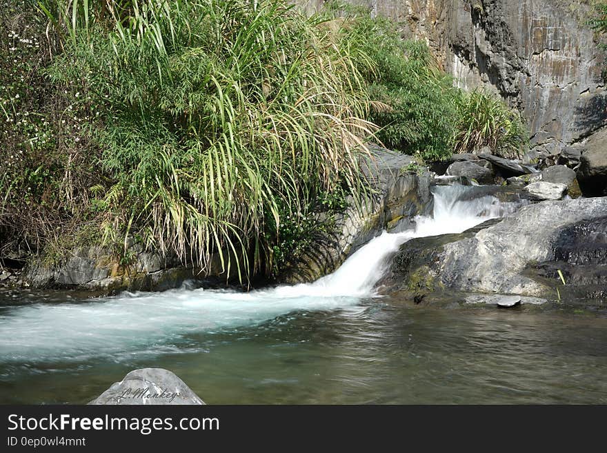 Grassy banks of river along rapids over rocks on sunny day. Grassy banks of river along rapids over rocks on sunny day.