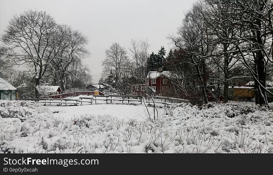 Snow covered paddock and trees outside farm house and buildings on overcast day. Snow covered paddock and trees outside farm house and buildings on overcast day.