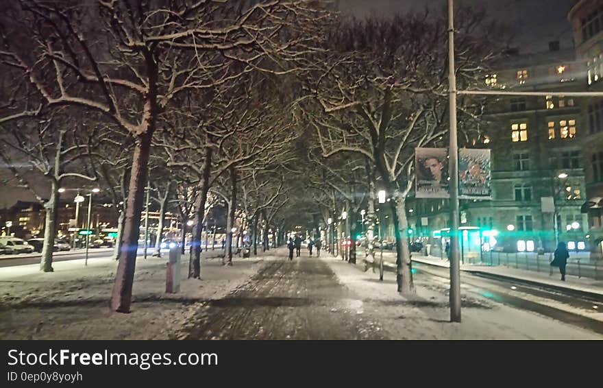 Snow covered walk along city streets illuminated at night. Snow covered walk along city streets illuminated at night.