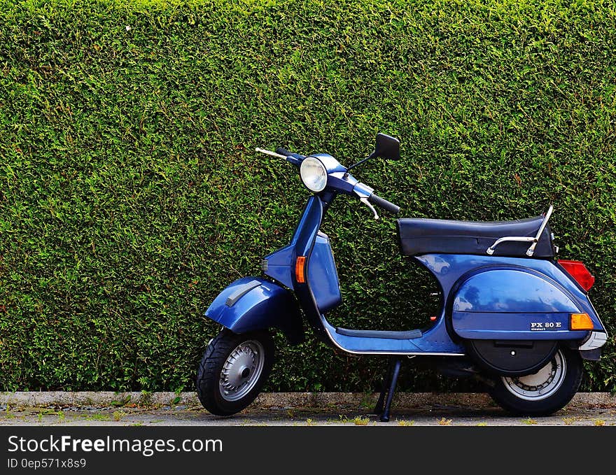 Blue Moped by Green Bush at Roadside