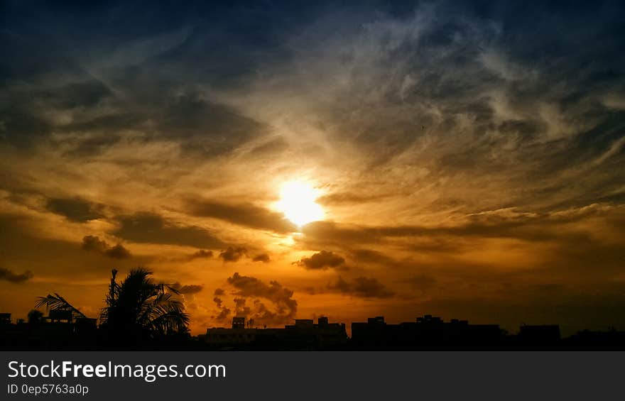 Silhouette of Trees and Buildings during Golden Hour