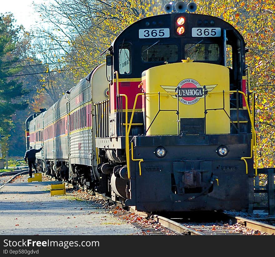 Black and Yellow Train Near Green Trees during Daytime