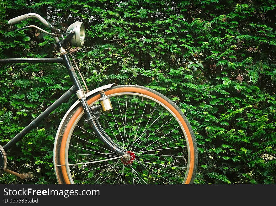 Black Beach Cruiser Bicycle Near Green Hedge during Daytime