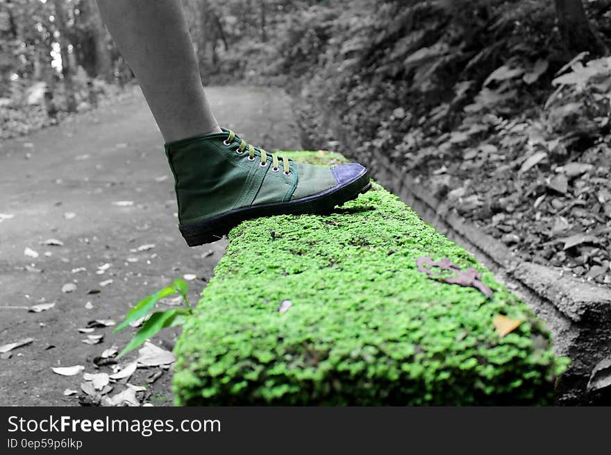 Human Foot and Grass Field Selective Color Footage