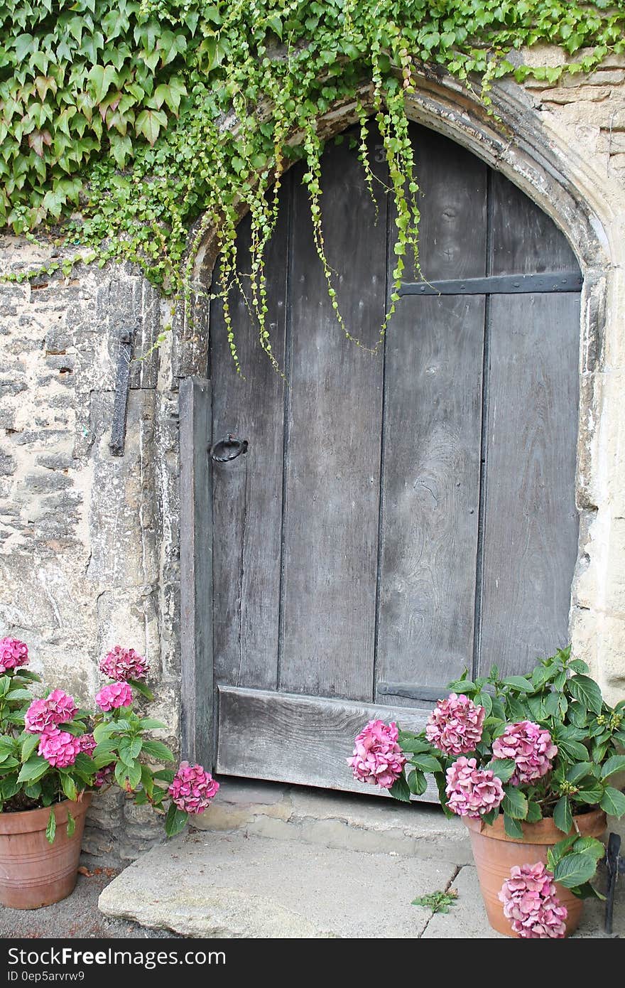 Closed Brown Wooden Garden Door