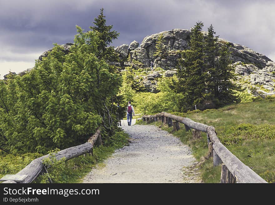 Male Wearing Red Bag Walking Near Green Leaf Tree