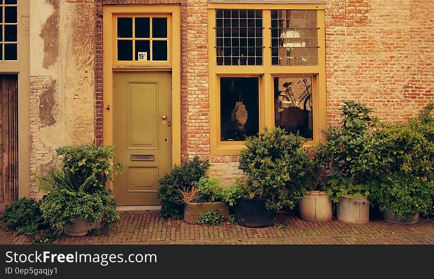 House Terrace With Green Leaf Plants during Daytime