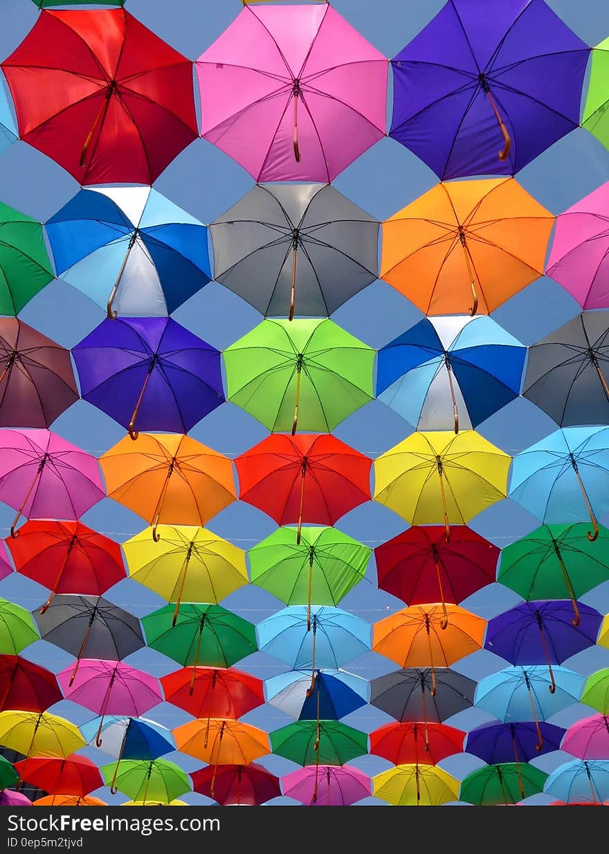 Pink Grey and Green Folding Umbrella Painting