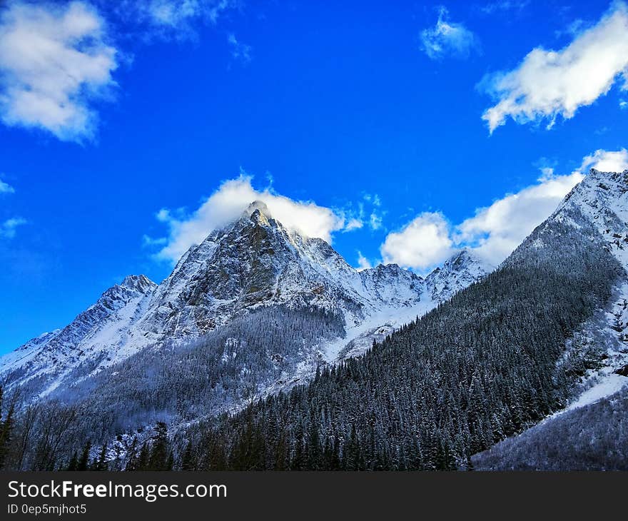 Gray Rocky Mountain Beside Pine Tree Under Blue Cloudy Sky during Day Time