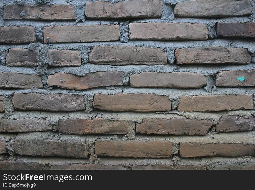 Brown Bricked Wall