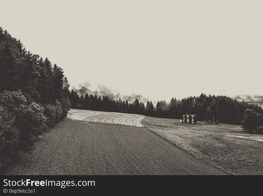 Greyscale Photo of Field at Daytime