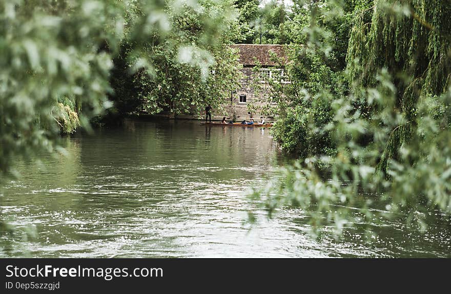 River in Middle of Trees