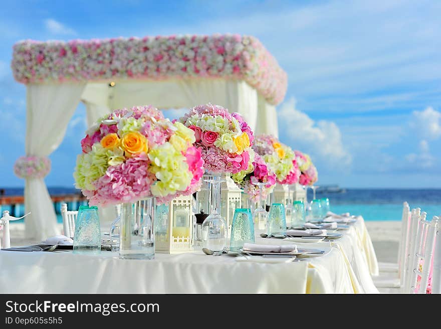 Yellow and Pink Petaled Flowers on Table Near Ocean Under Blue Sky at Daytime