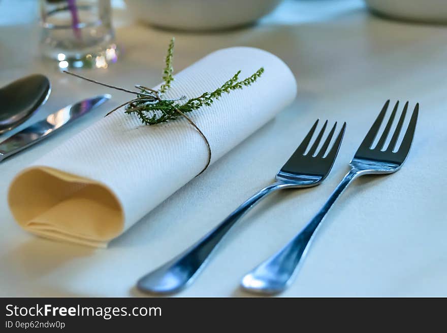 Stainless Steel Fork Beside Rolled Paper Towel With Parsley on Top