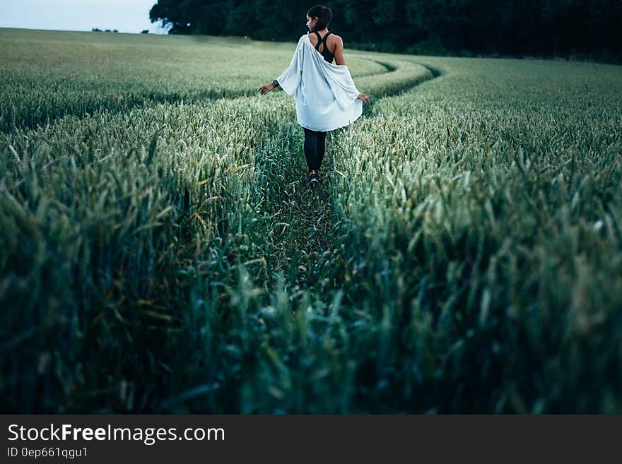 Woman Walking in the Rice Plant Field during Daytime