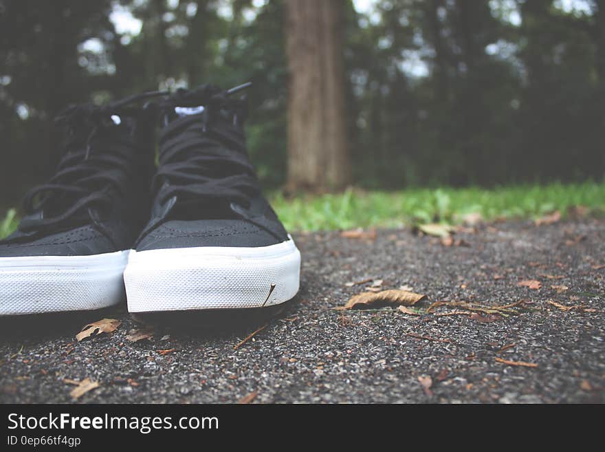 Black and White High Top Sneakers