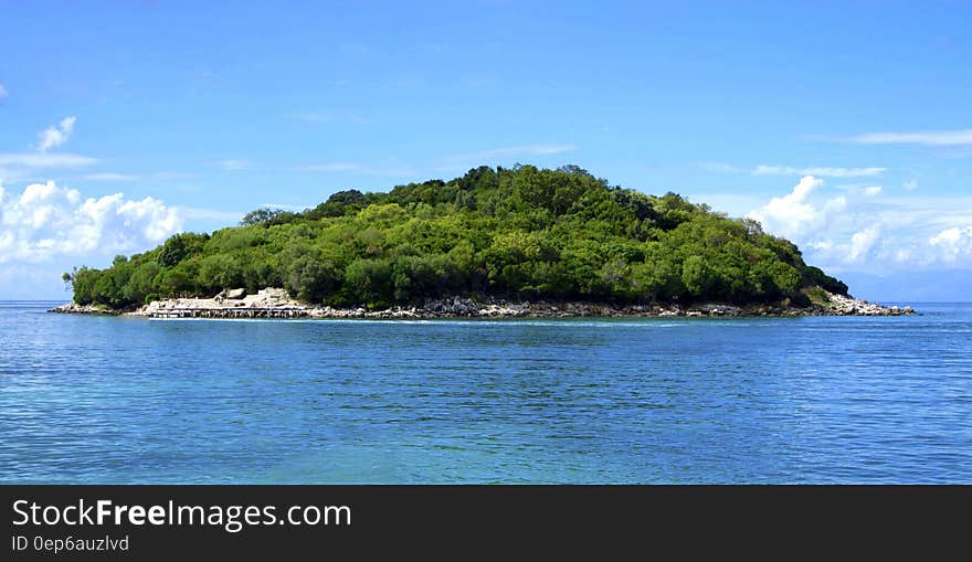 Island Covered With Green Trees Under the Clear Skies