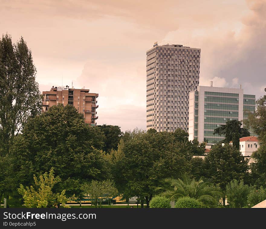 High Rise Buildings Near Green Leaf Trees Under White Sky during Daytime