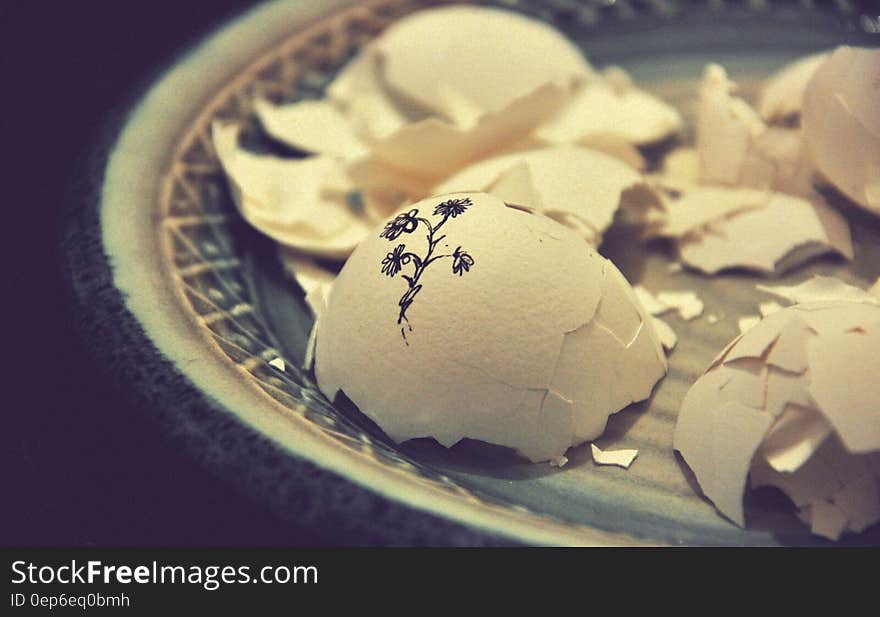 Petaled Flower Drawing on White Egg Shell