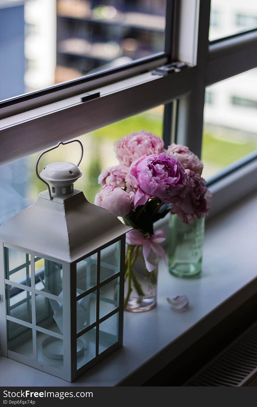 Candle Lantern Near Purple Petaled Flower on Glass Window